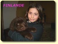 CHIOT FINLANDE