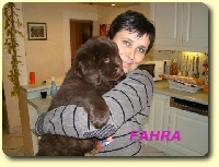 CHIOT FAHRA